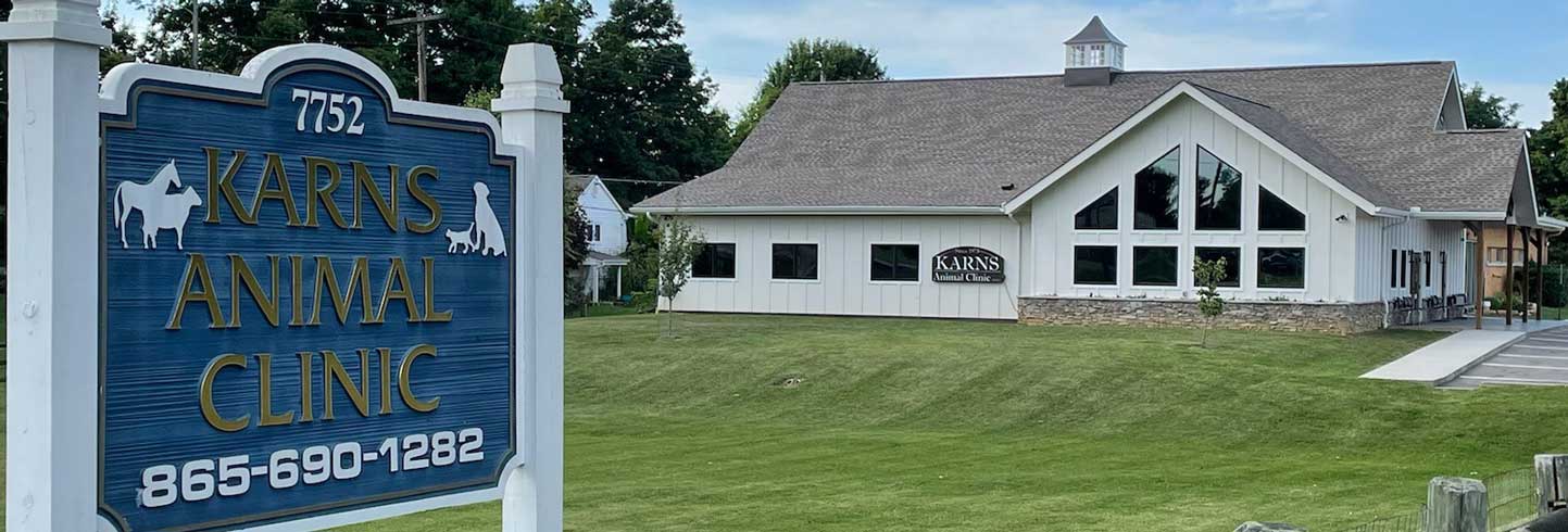 Karns Animal Clinic | Knoxville Veterinarians